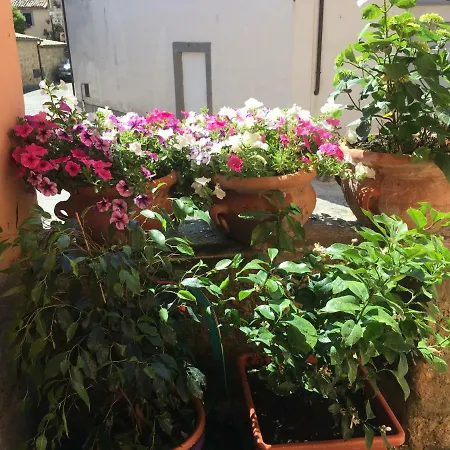 Apartmán Turistico Francalancia 52 *